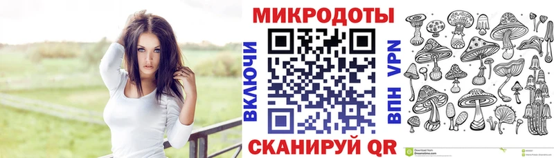 магазин продажи наркотиков  Курильск  Псилоцибиновые грибы прущие грибы 