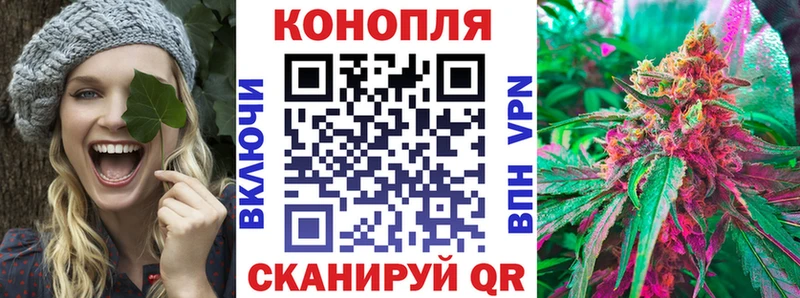 Конопля OG Kush  Курильск 